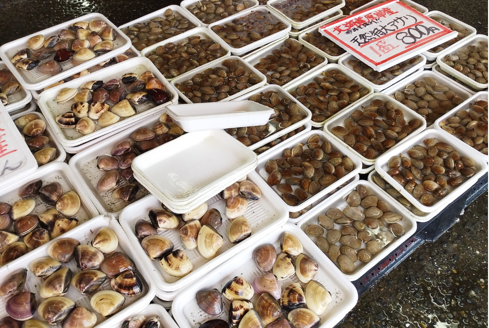 市場で販売されていた新鮮なアサリが並ぶ売り場。