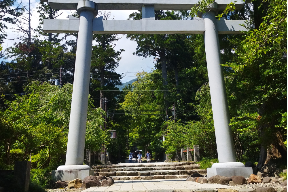 「弥彦神社の境内入口にある大鳥居と参道」