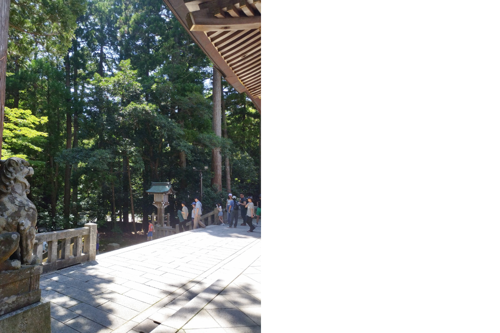 「弥彦神社の境内にある狛犬と杉木立」